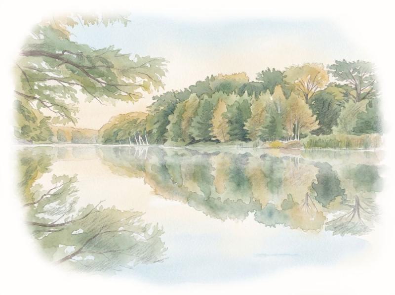 Reflections on a lake